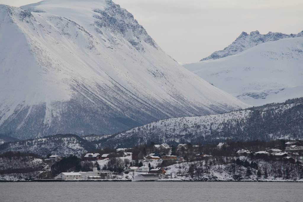 Salen i Langevåg sett fra meierikaia i Ålesund by HOL1