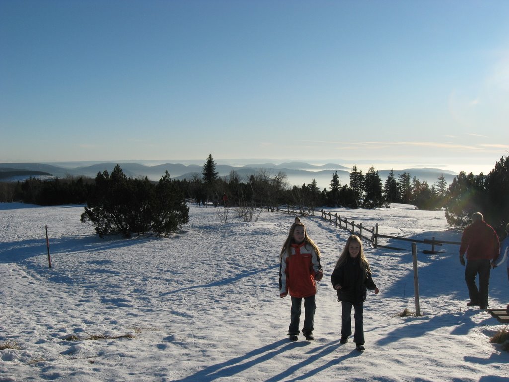 Blick nach Süden mit Schweizer Alpen by b.ernst