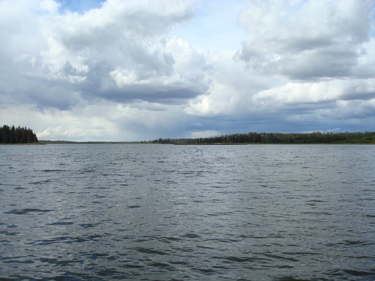 Elk Island Park Lake, Alberta Canada by Alberto Valdes