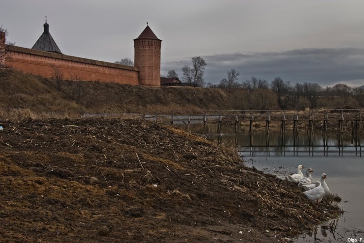 Suzdal by Olga F.