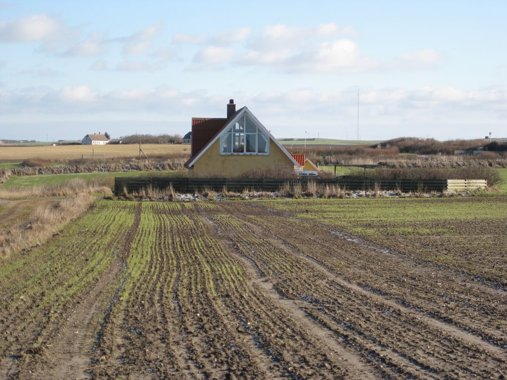 Ferienhaus „Nordkoppel“ / „Nørretoft“ by sivipics