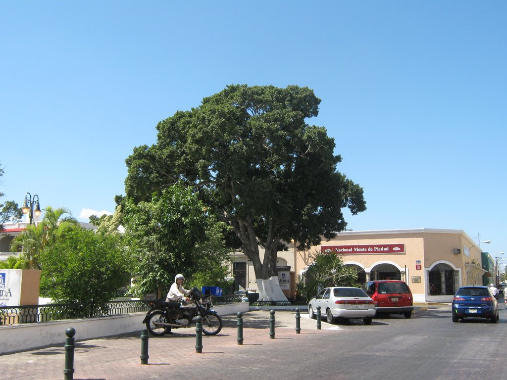 Parque de Santiago by José Manuel Repetto Menéndez