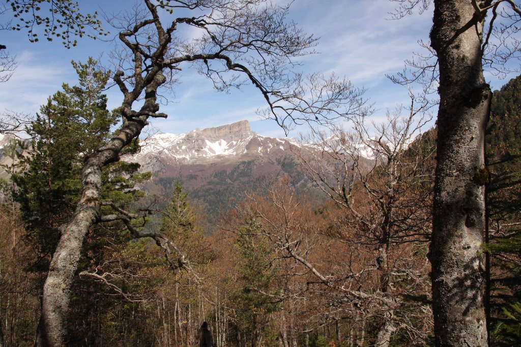 Selva de oza-valle de hecho-españa by CerrotorreCospeito