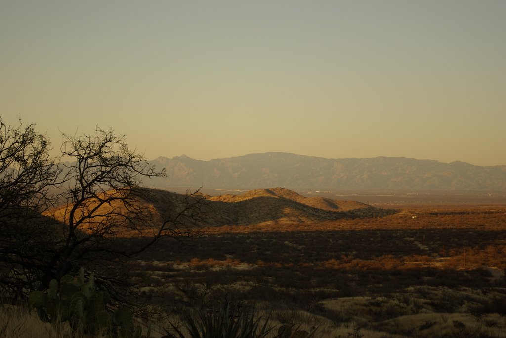 Tucson, AZ, USA by deaz