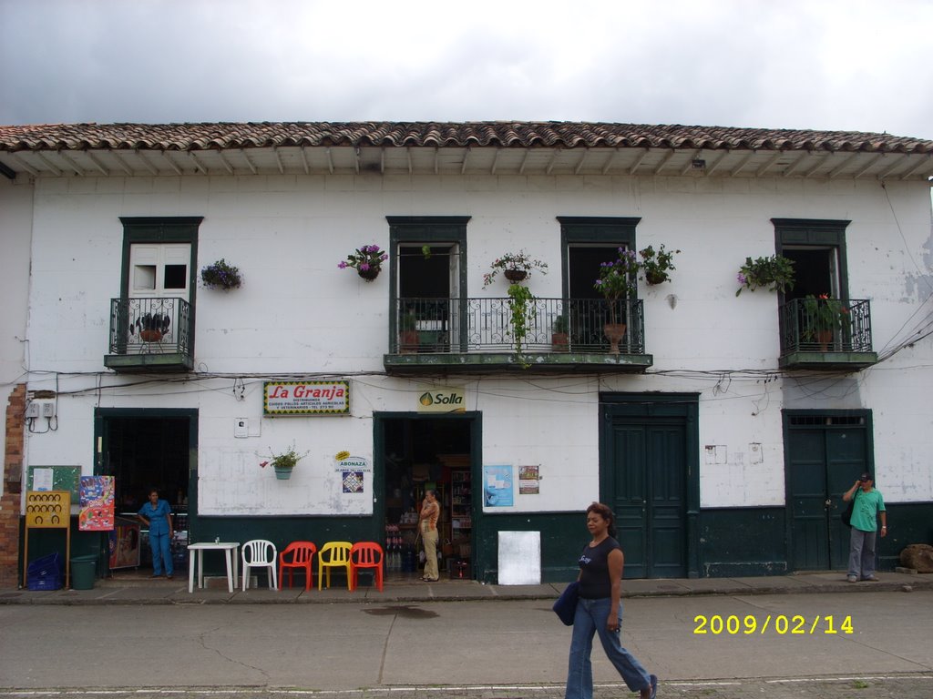 Balcones del parque. Valparaiso Ant. by Ruiz José