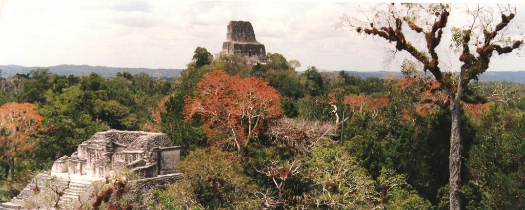 Tikal, Guatemala by steviej