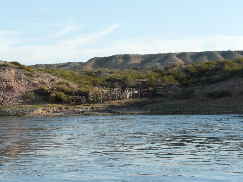 Costa del Rio Negro en Allen by Veronica P