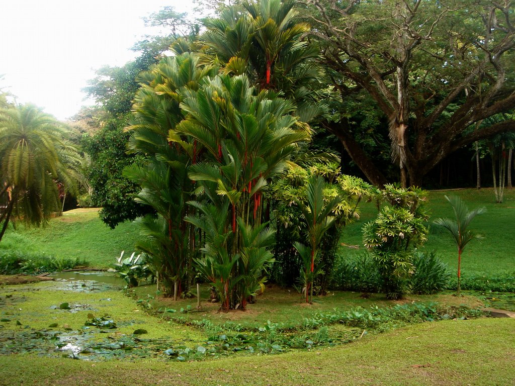 Río Piedras, PR: Jardín Botanico by NTirado