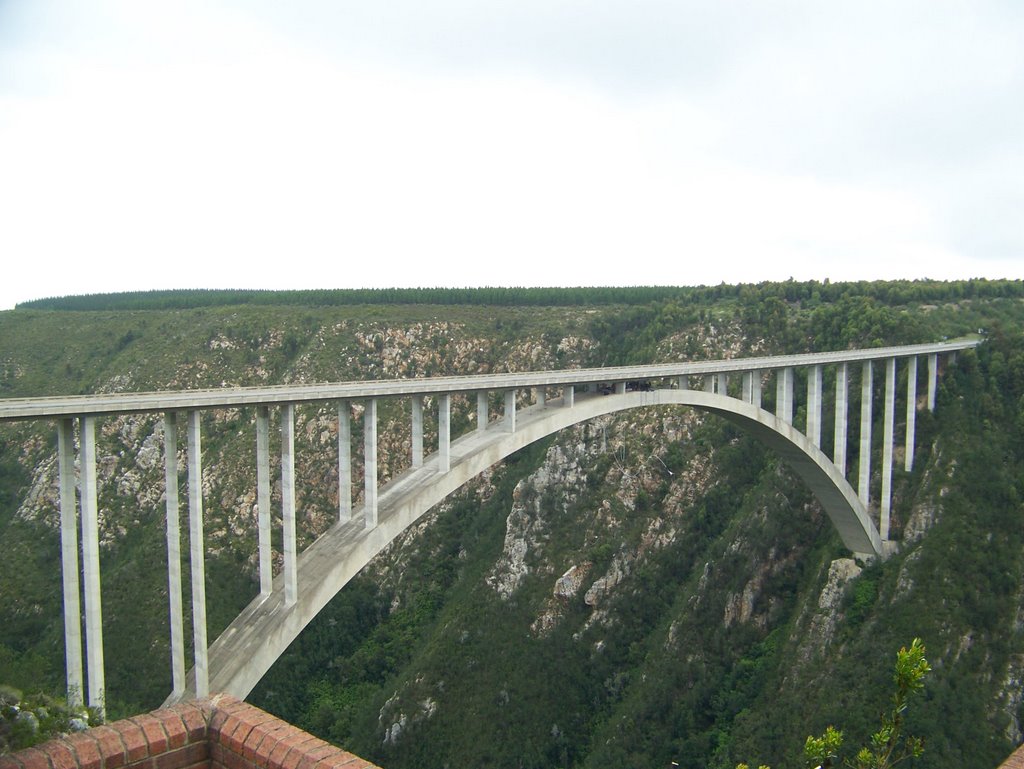 Blaukrans Bridge, South Africa by Wayne Hughes