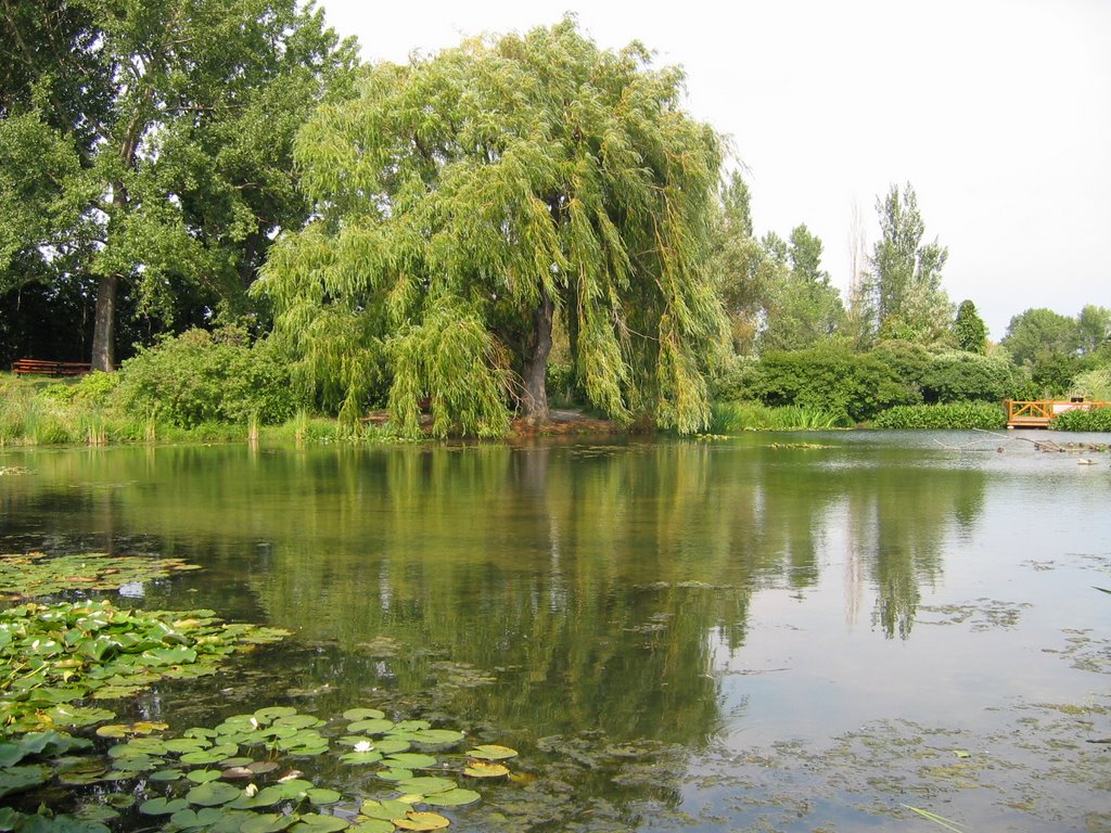 Jardin botanique by Daniel Labbée