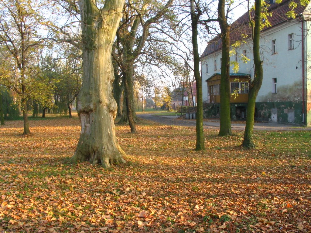 Wądroże Wielkie - Park (Park in autumn) by Jacek Szymański