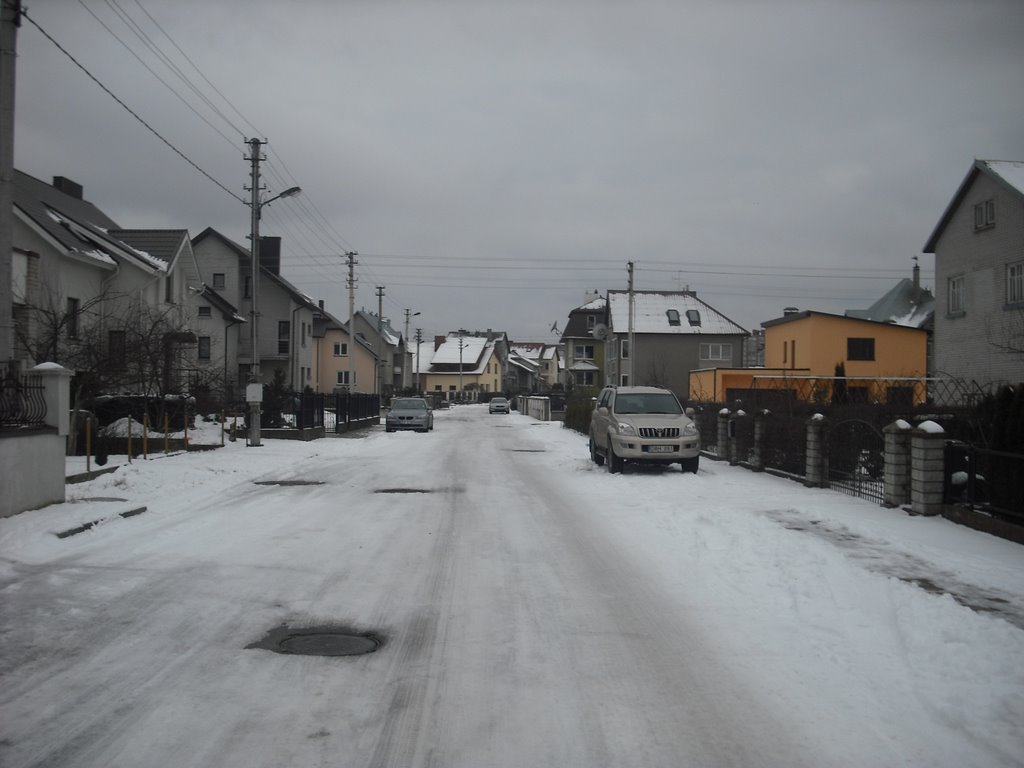 Klaipėda (クライペダ), Lithuania (リトアニア), European Union (欧州連合). Friday, February 14 th, 2009. by Tomaskla