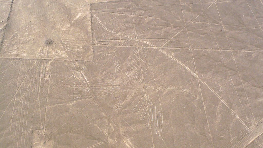 'Condor' Nazca Lines by buckers9651