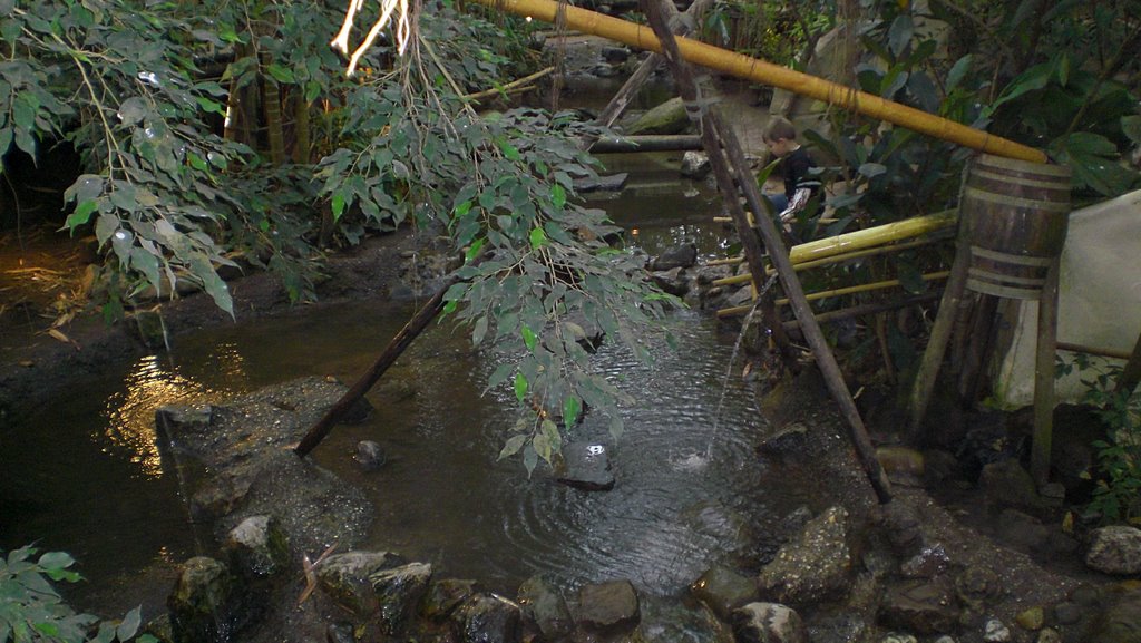 Jungle Dom im Center Parc Het Heijderbos by bohser kalle