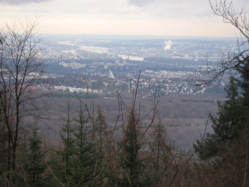 Blick auf Wiesbaden by ©frie_d@