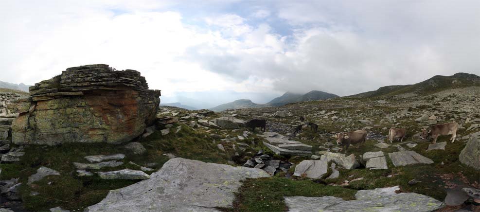 Alpe di Mem 2037m (http://www.ti360.org/panorama/panorama_display_lowrez.php?panoGuid=alpe_mem) by ti360