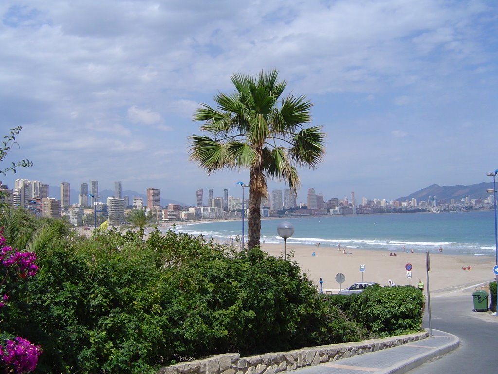 Benidorm, Coastline by Martin Rotovnik