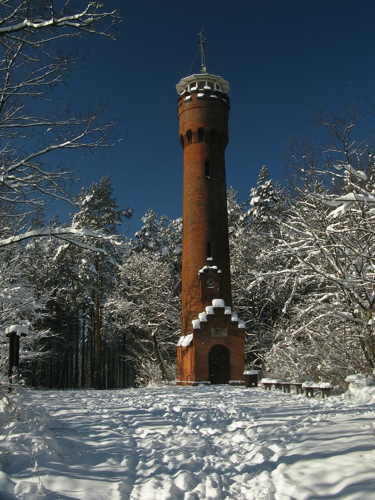 Bismarck tower in wintertime by tb808