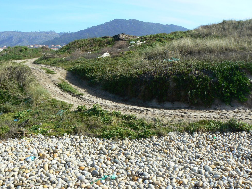 Road to the beach by Johan “Benke” Veiga …