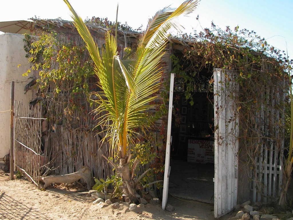 La Paz, Baja California Sur, Mexico by columbiahd