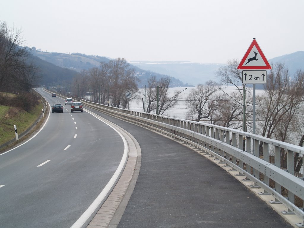 Die Rheinstraße B9 bei Trachtlingshausen by internati