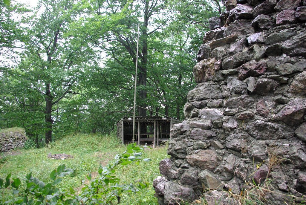 Ruiny zamku Homole / Ruins of the Homole castle by Robert Kamiński