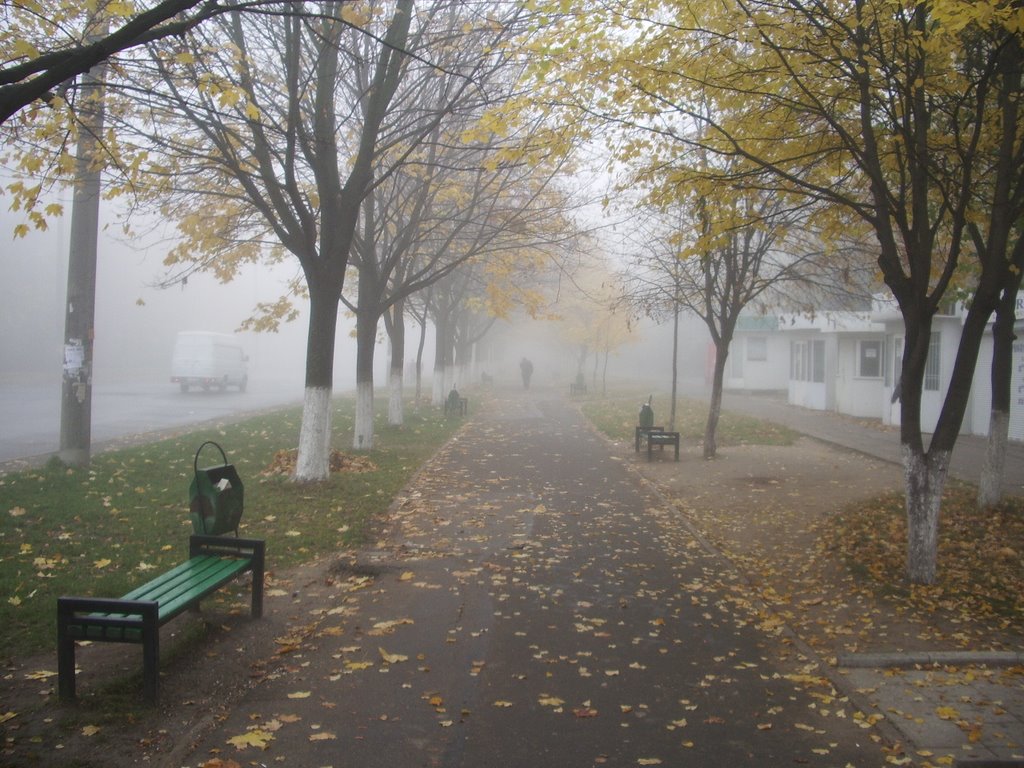 Осенний туман. 	 	 Autumnal fog by I.Mihailov