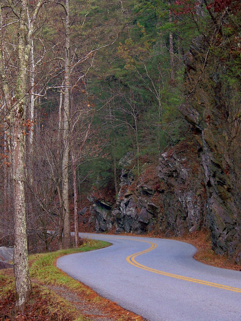 The lonliest road comes to the smoky mountains by Will Noble