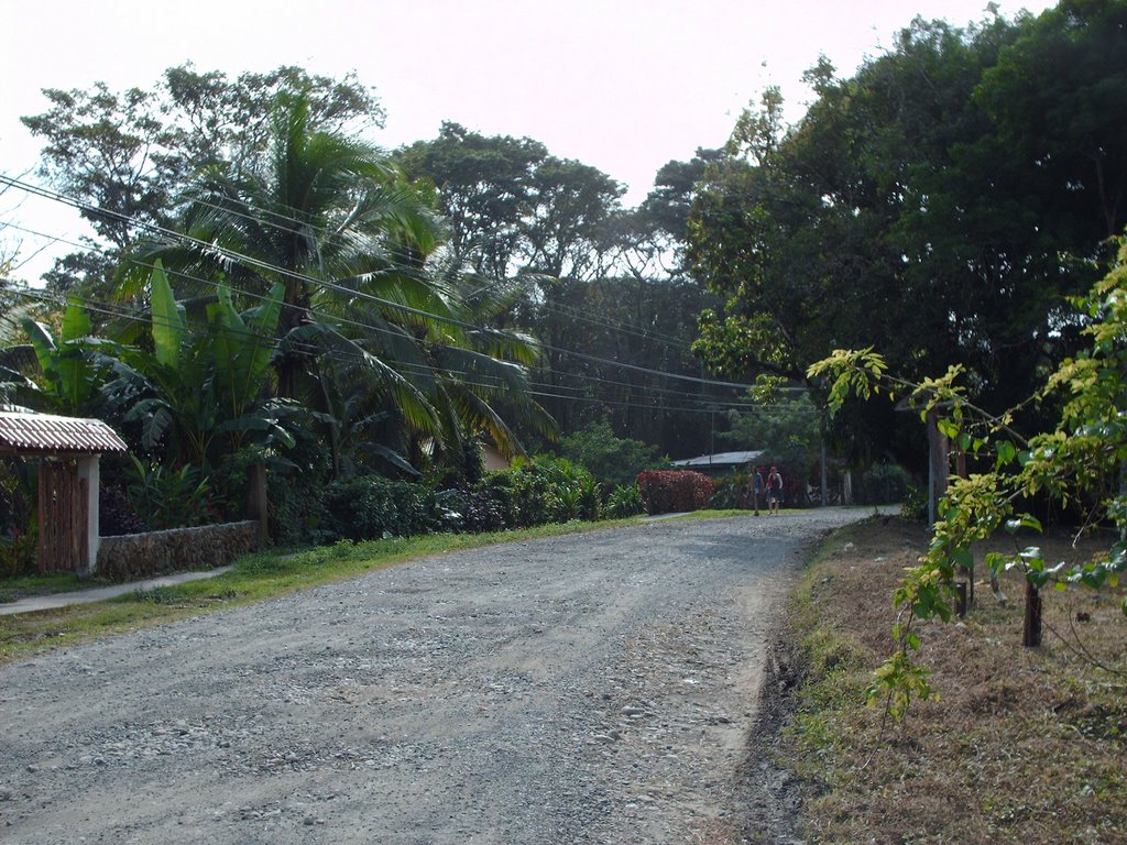 Cahuita Town Street 2 by JotaJ