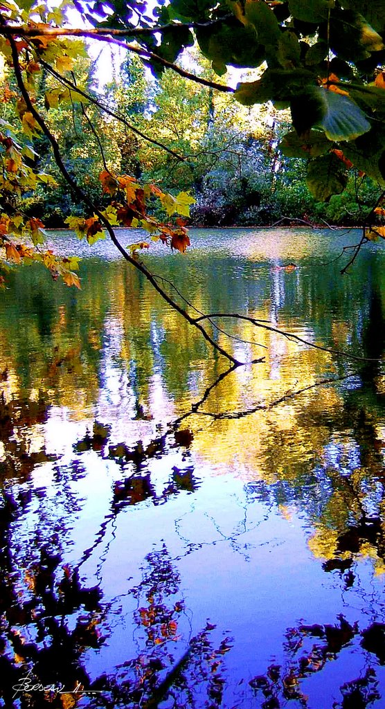 TRESQUES...GARD...FRANCE. by BORDEAU Alain.(NO VIEWS!)