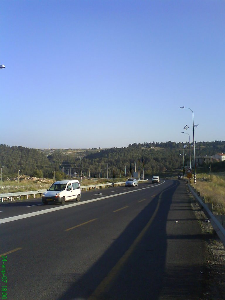 The road near Hashmonaim by Kamtzan