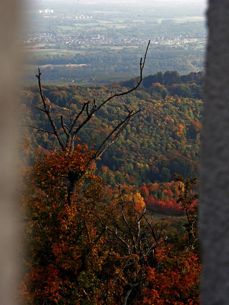 Aussicht Richtung Gottenheim by Salvatore2008Patricia2011