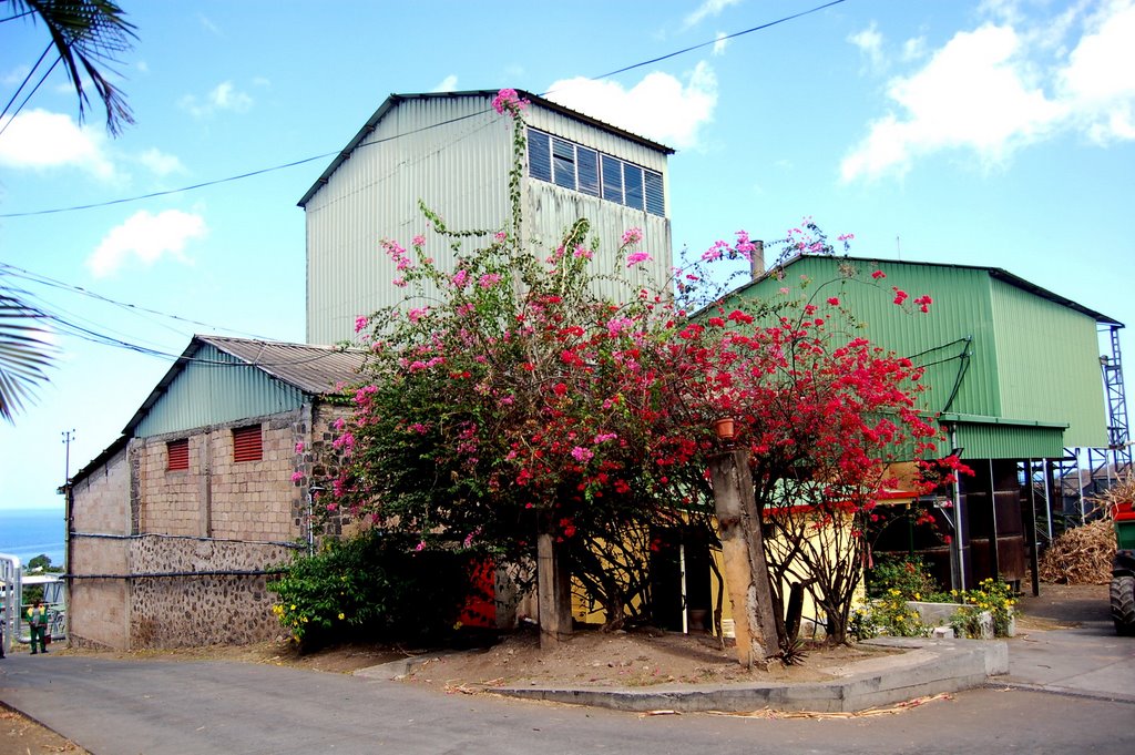 Guadeloupe Distillerie Bologne by Claude Roussel-Dupré