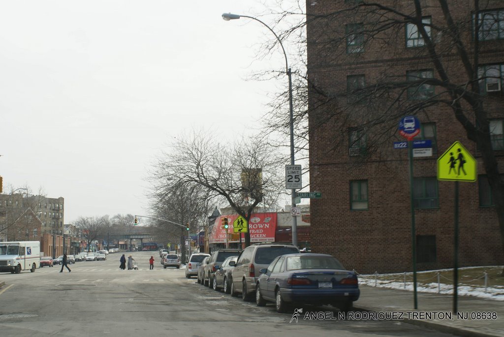 IN THE BRONX by ANGEL N RODRIGUEZ