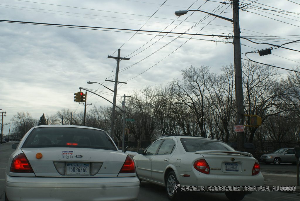 IN THE BRONX by ANGEL N RODRIGUEZ