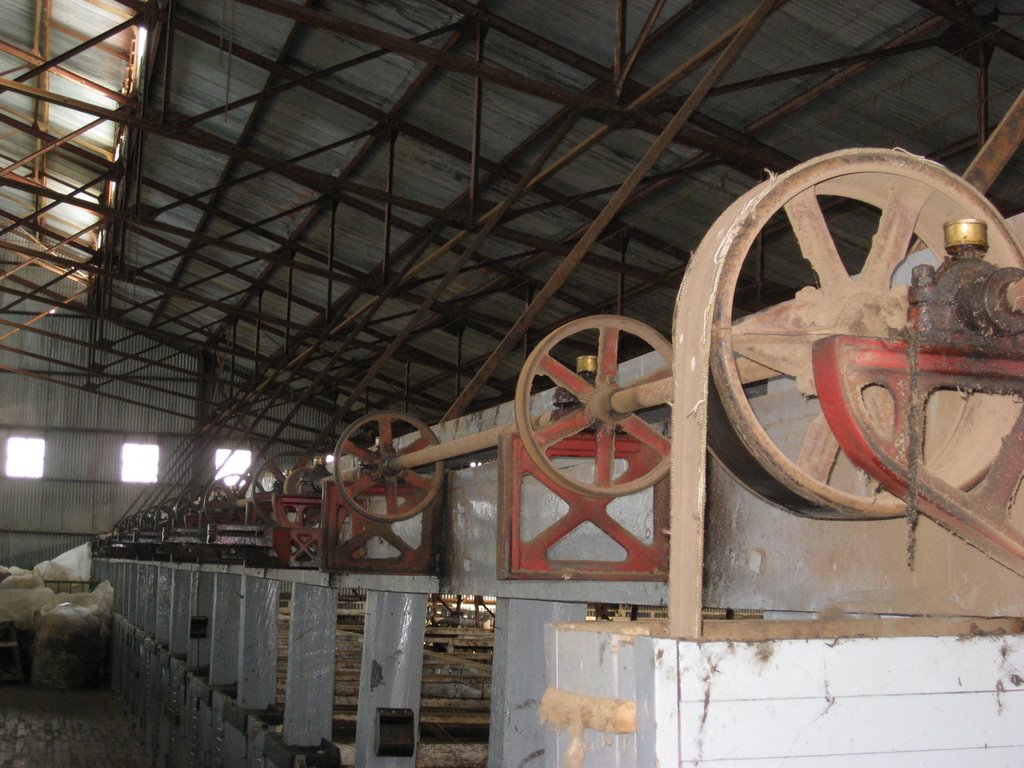 Inside Maria Behety Shearing Shed by xtrmtrk