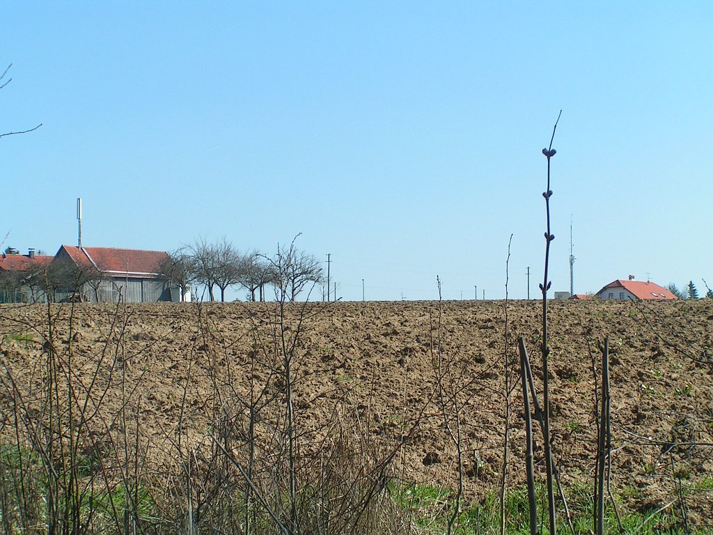 Auf der ehem. Bahnstrecke bei Roßbach by regensburger01