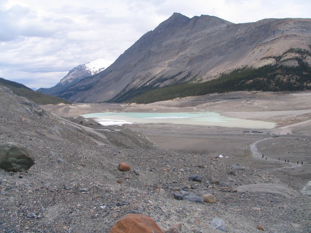 Columbia Icefield Glacier,Banff and Jasper National Parks by Faith48