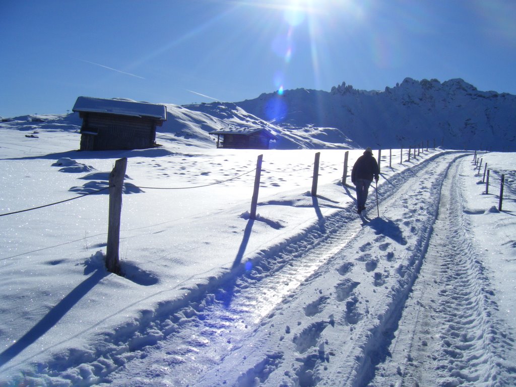 Alpe di Siusi by zonli