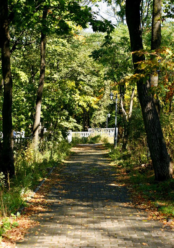 Pokrovsky park, autumn alley by V_ace