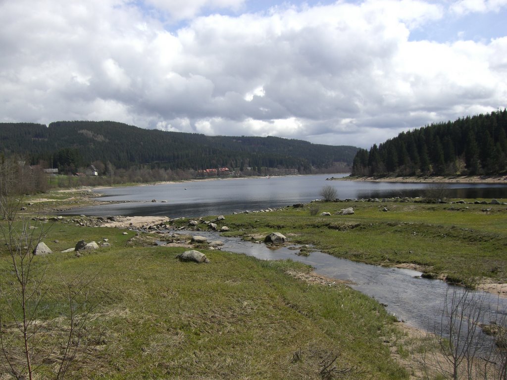 Schluchsee Südwest Ufer by ferrero2