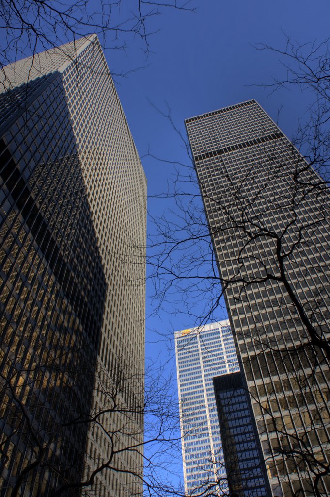 TD Bank Towers by Faryndale