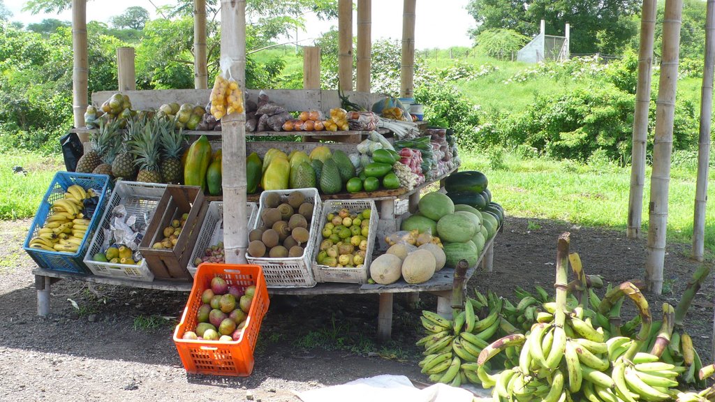 Frutas del la tierra by asturcontoro