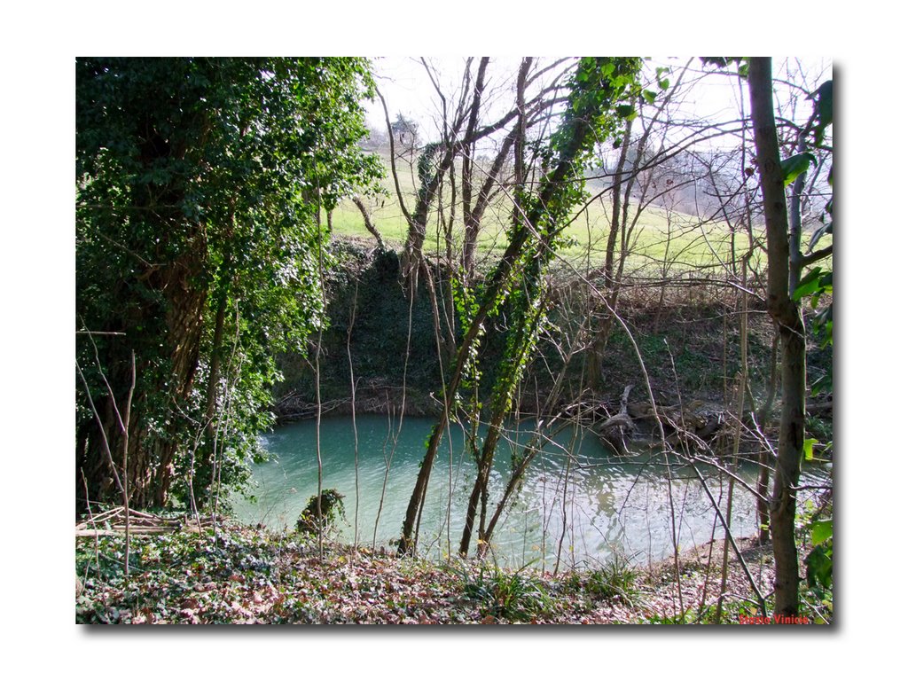 2009 - Sentiero del Gambero Nero - La quiete della natura by ♥ vinicio-1