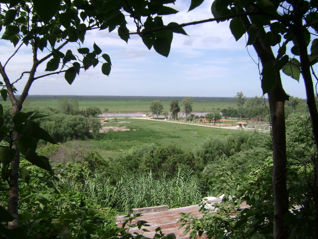 Vista desde el Jardín Botánico hacia el río by Pat Camp