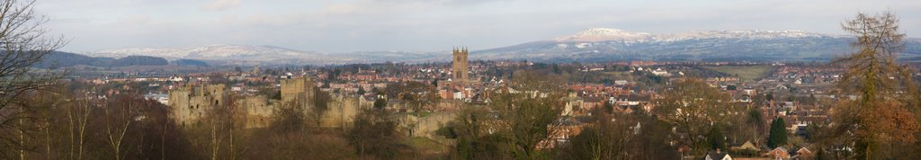 Ludlow Panorama by simondf