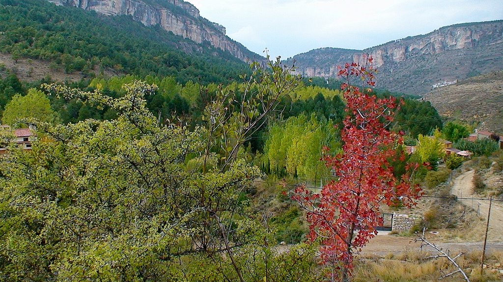 Arce -como testigo primero- del incipiente otoño. by ljimen3