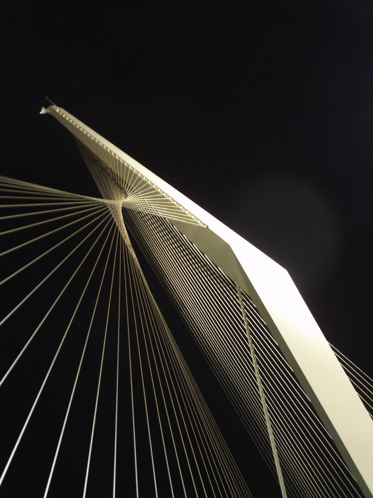 Chords Bridge at night, Jerusalem by RC-EagleEye