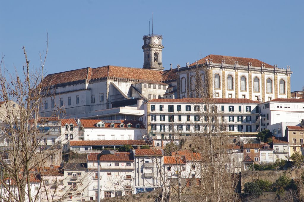 Coimbra by Carlos Berardo