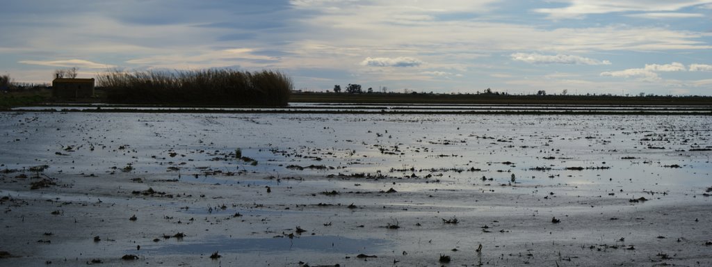 Delta de l´Ebre by ANIBAL JARDIM AGUDO